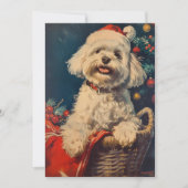Maltese hond Kerstmis Feestdagenkaart (Voorkant)