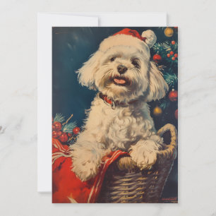 Maltese hond Kerstmis Feestdagenkaart