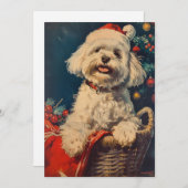 Maltese hond Kerstmis Feestdagenkaart (Voorkant / Achterkant)
