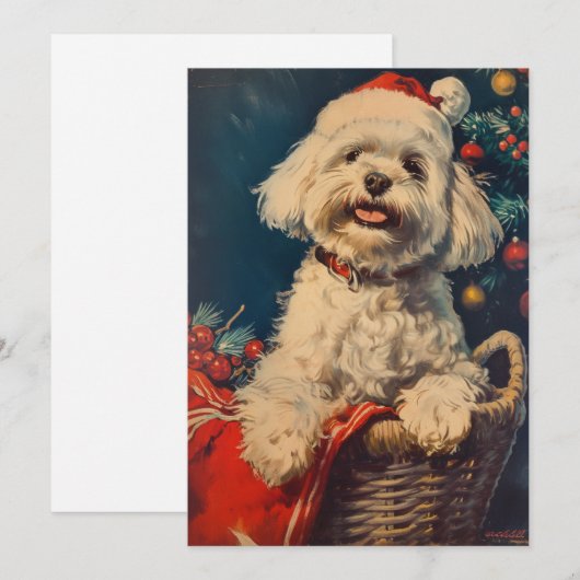 Maltese hond Kerstmis Feestdagenkaart (Voorkant / Achterkant)