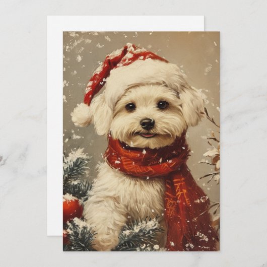 Maltese hond Kerstmis Feestdagenkaart (Voorkant / Achterkant)