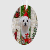 Maltese hond Kerstmis Ornament (voorkant)