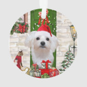 Maltese hond Kerstmis Ornament (achterkant)