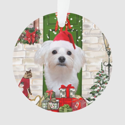 Maltese hond Kerstmis Ornament (voorkant)
