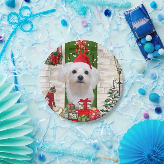 Maltese hond Kerstmis Papieren Bordje (Feest)