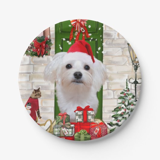 Maltese hond Kerstmis Papieren Bordje (Voorkant)