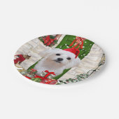 Maltese hond Kerstmis Papieren Bordje (Gekanteld)
