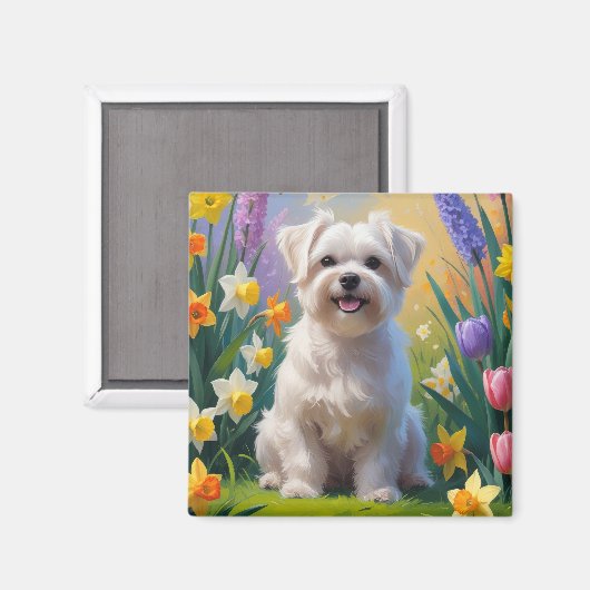 Maltese hond lente bloemen schilderen magneet (Voorkant / Achterkant)