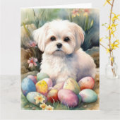 Maltese Hond met Paaseieren Vakantie Kaart (Gele Bloem)