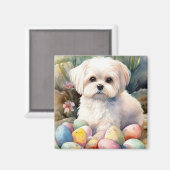 Maltese Hond met Paaseieren Vakantie Magneet (Voorkant / Achterkant)