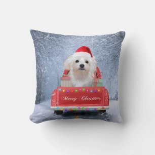 Maltese hond op sneeuw in kerstmis kussen