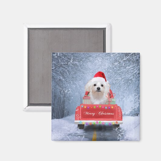 Maltese hond op sneeuw in kerstmis magneet (Voorkant / Achterkant)