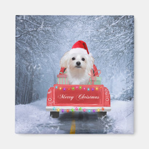 Maltese hond op sneeuw in kerstmis magneet