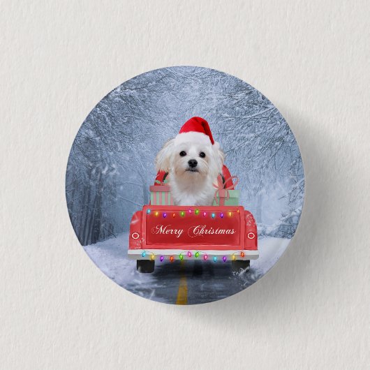 Maltese hond op sneeuw in kerstmis ronde button 3,2 cm (Voorkant)