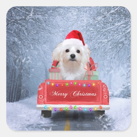 Maltese hond op sneeuw in kerstmis vierkante sticker (Voorkant)