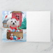 Maltese hond op sneeuwkerstmis kaart (Binnen)