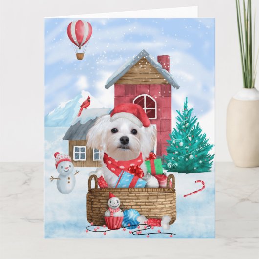 Maltese hond op sneeuwkerstmis kaart (Voorkant)