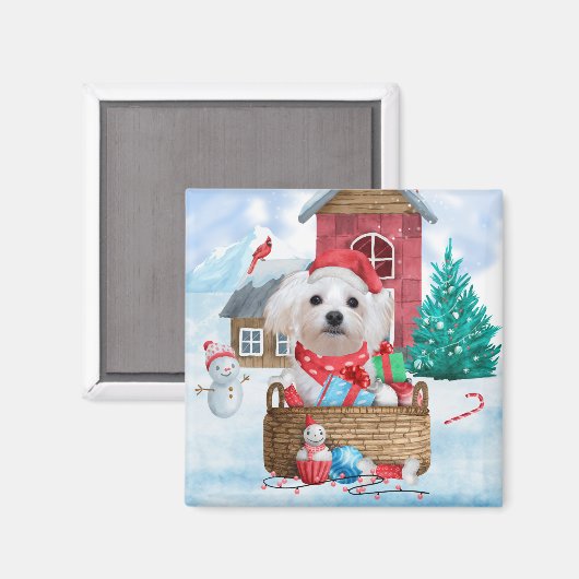 Maltese hond op sneeuwkerstmis magneet (Voorkant / Achterkant)