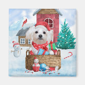 Maltese hond op sneeuwkerstmis magneet (Voorkant)