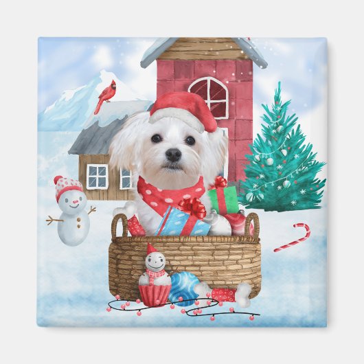 Maltese hond op sneeuwkerstmis magneet (Voorkant)