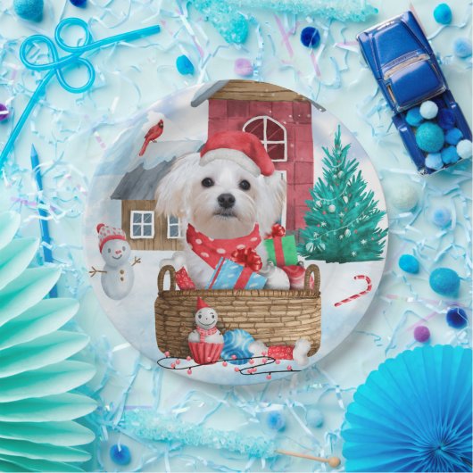 Maltese hond op sneeuwkerstmis papieren bordje (Feest)