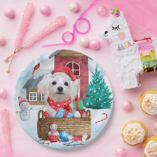 Maltese hond op sneeuwkerstmis papieren bordje (Feest)