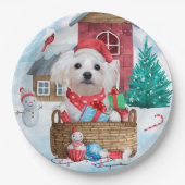 Maltese hond op sneeuwkerstmis papieren bordje (Voorkant)