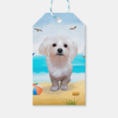 Maltese hond op strand cadeaulabel (Voorkant)