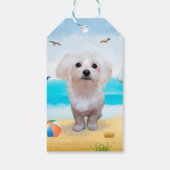 Maltese hond op strand cadeaulabel (Achterkant)