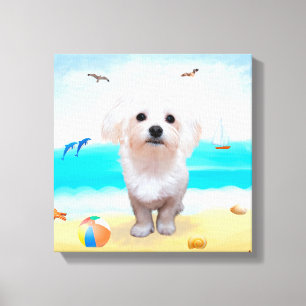Maltese hond op strand canvas afdruk