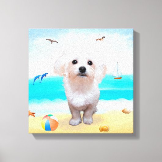 Maltese hond op strand canvas afdruk (Voorkant)