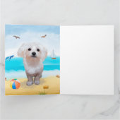 Maltese hond op strand kaart (Binnen)