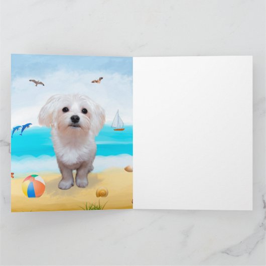 Maltese hond op strand kaart (Binnen)