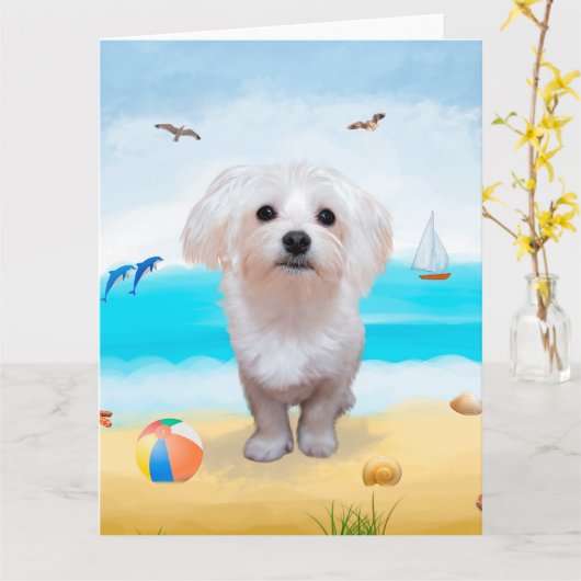 Maltese hond op strand kaart (Gele Bloem)
