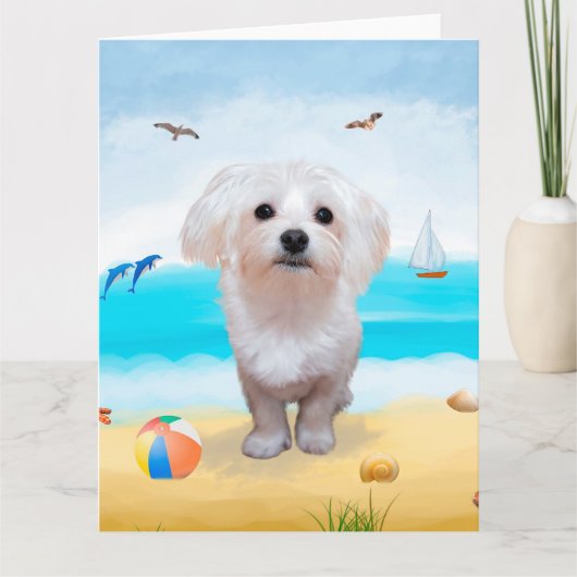 Maltese hond op strand kaart (Voorkant)