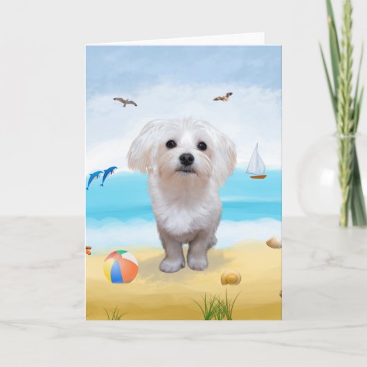 Maltese Hond op Strand Kaart (Voorkant)