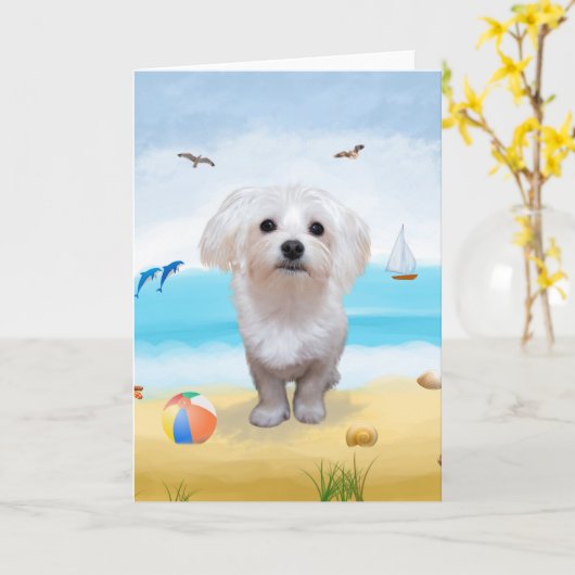 Maltese Hond op Strand Kaart (Gele Bloem)