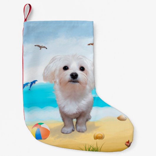 Maltese hond op strand kleine kerstsok (Voorkant)