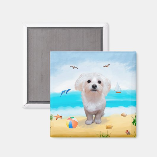 Maltese hond op strand magneet (Voorkant / Achterkant)