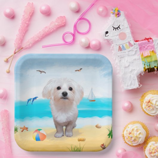 Maltese hond op strand papieren bordje (Feest)