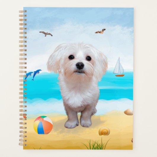 Maltese hond op strand planner (Voorkant)