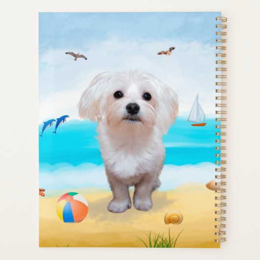 Maltese hond op strand planner (Achterkant)