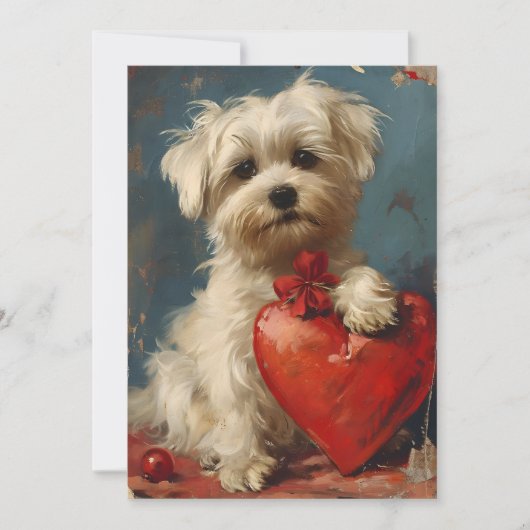 Maltese hond Oudejaarsdag Valentijnsdag  Feestdagenkaart (Voorkant)
