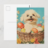 Maltese hond Pasen Briefkaart (Voorkant / Achterkant)
