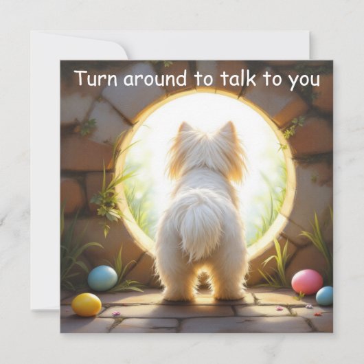 Maltese hond - Pasen Feestdagenkaart (Voorkant)