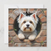 Maltese hond - Pasen Feestdagenkaart (Achterkant)