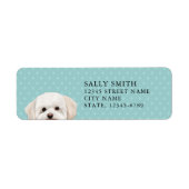 Maltese hond retour adres label (Voorkant)