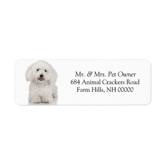 Maltese hond retour adres mail labels Stickers (Voorkant)