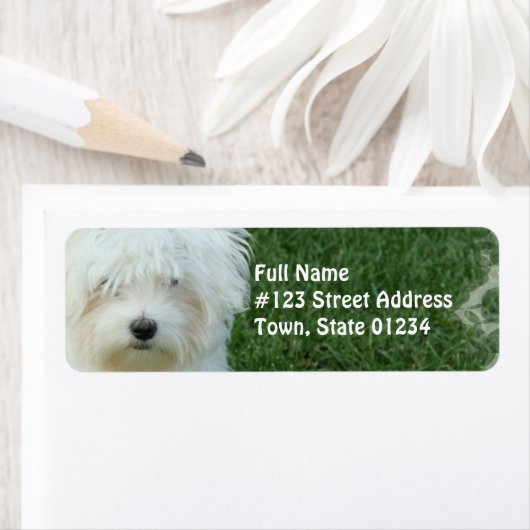 Maltese hond retour adres mailing label (Insitu)