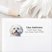 Maltese hond retour adreslabels etiket (Insitu)